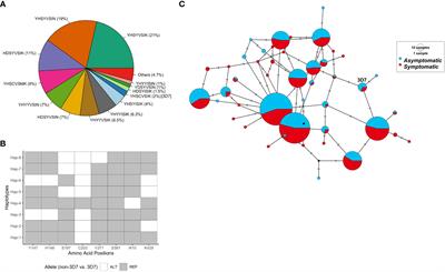 Reticulocyte Binding Protein Homologue 5 is a target of balancing selection in the Plasmodium falciparum population of Papua New Guinea